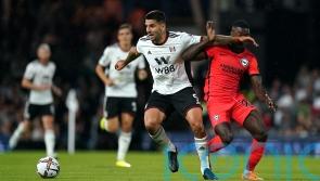 &lsquo;Quality&rsquo; Aleksandar Mitrovic is most important Fulham player &ndash; Bernd Leno