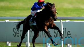Adayar entered for Doncaster return