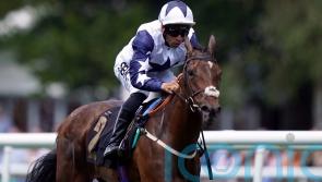 Alseyoob back to winning ways with stylish Ascot strike
