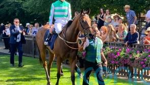 Syndicate have so much to look forward to with Lakota Sioux