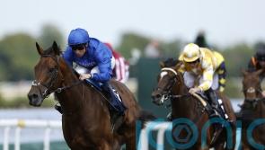 Hot favourite New London leads Leger contenders