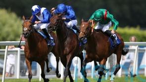 Irish Champion Stakes set to headline stellar weekend