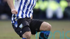 Middlesbrough sign free agent Australia midfielder Massimo Luongo