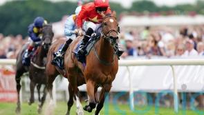 Draw not ideal, but Highfield Princess poised for more Group One laurels