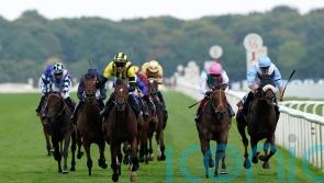 Connections thrilled with Haskoy run, and will appeal Leger demotion