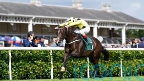 Late call, but Cold Case could make swift Mill Reef reappearance