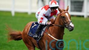 Holloway Boy on course for return, as Burke looks to Newmarket
