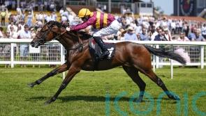 Varian hoping to see the best of Bayside Boy at Sandown