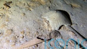 Prehistoric human skeleton found in cave
