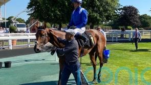 Shaara holds on in Yarmouth thriller