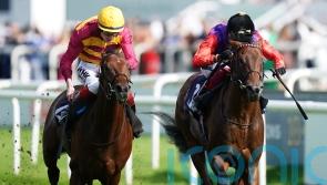 Buick stars at Sandown as Bayside Boy forms part of four-timer