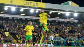 Teemu Pukki bags a brace as Norwich beat Bristol City to keep winning run going