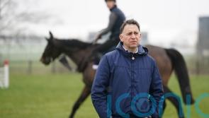 Ingenious Stroke provides poignant success for De Bromhead team