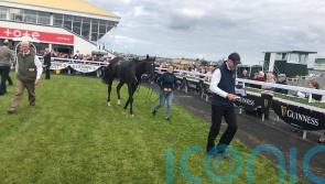 Mullins dominates at Listowel with Easy Game winning yet again