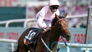 Fillies&rsquo; Mile date on Polly Pott&rsquo;s agenda