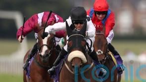 Ever-popular Judicial rolls back the years at Beverley