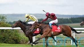 Ferguson &lsquo;tempted&rsquo; by longer trip at Ascot for Mise En Scene