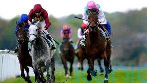 Rob Hornby reunites with Westover for Arc ride