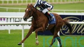 Basil Martini steps up to take Weld Park win