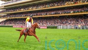 Torquator Tasso delighting Marcel Weiss ahead of Arc defence