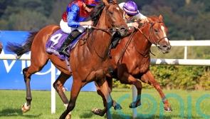 O&rsquo;Brien has Luxembourg ready to peak