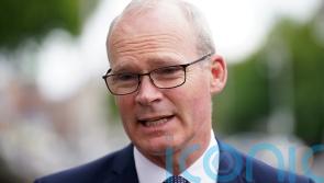 Referendums which back Russian rule in Ukraine a sham &ndash; Coveney