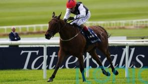 Homeless Songs takes on Saffron Beach in Sun Chariot