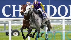 Mullins retaining plenty of faith in Cadran challenger Princess Zoe