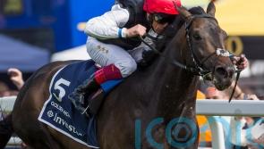 Oppenheimer remembers Golden Arc moment for Horn