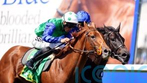 Meehan plotting Dewhurst date for Isaac Shelby