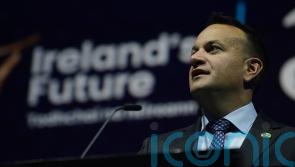 United Ireland will need support of convincing majorities, Tanaiste says