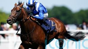 Baaeed pleasing ahead of Champion Stakes farewell