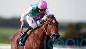 Nostrum and Chaldean give Juddmonte strong hand in Dewhurst