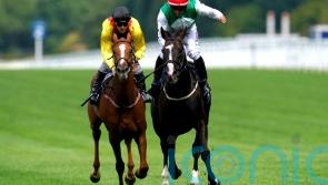 No Breeders&rsquo; Cup bid for Pyledriver