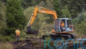 Family of Disappeared victim Columba McVeigh want daily &lsquo;torment&rsquo; to end