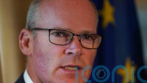 Coveney: Varadkar was &lsquo;stating a fact&rsquo; that NI Protocol is a little too strict
