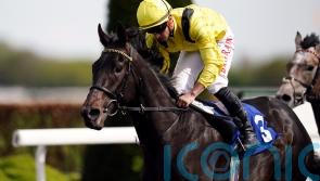 Maljoom to miss Champions Day