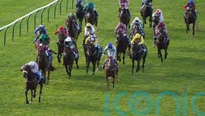 Run For Oscar routs Cesarewitch rivals