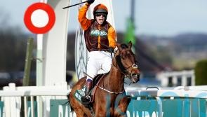 James Reveley to ride National hero Noble Yeats this weekend