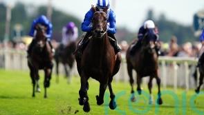 Final countdown for Baaeed, with brilliant colt all set to sign off in style