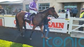 Cairo collects Killavullan honours at Leopardstown