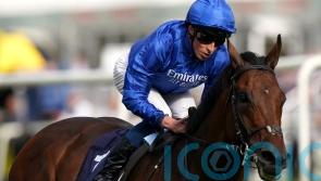 Breeders&rsquo; Cup consideration for Adayar after fine Ascot effort