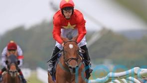 Breeders&rsquo; Cup would put icing on top of landmark season for John Quinn