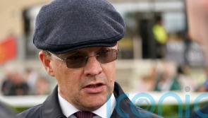 O&rsquo;Brien looking towards Breeders&rsquo; Cup with Toy