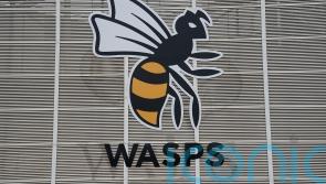 Wasps placed into administration as holding company ceases trading