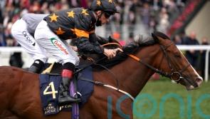 David Evans has Hong Kong aspirations for Rohaan