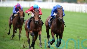 Appleby sets out 10-furlong ambition for Adayar next year