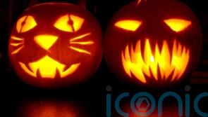 Insurer urges Irish households to be on guard against Halloween horrors