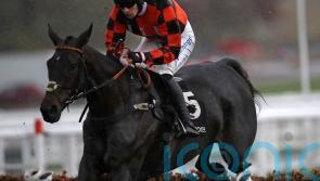 Mofasa battles back for Cheltenham win