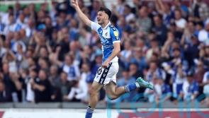 Bristol Rovers peg back leaders Plymouth to pick up a point